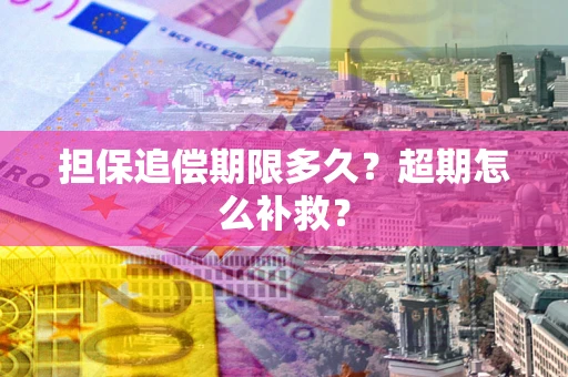 北京担保追偿期限多久？超期怎么补救？