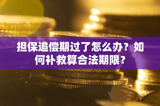 北京担保追偿期过了怎么办？如何补救算合法期限？