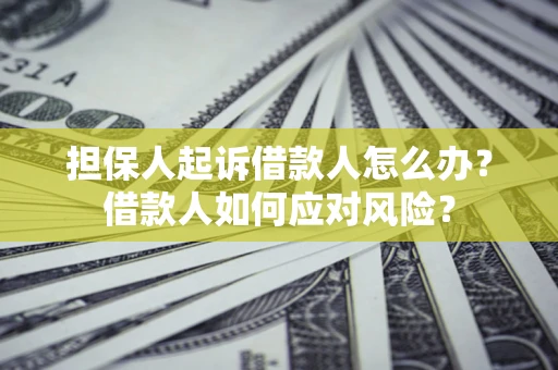 北京担保人起诉借款人怎么办？借款人如何应对风险？
