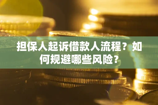 北京担保人起诉借款人流程？如何规避哪些风险？